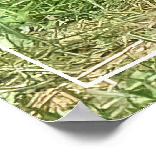 Mijn broer poster (Hoek)