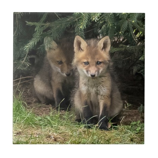 Mijn broer tegeltje (Voorkant)