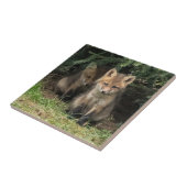 Mijn broer tegeltje (Zijkant)