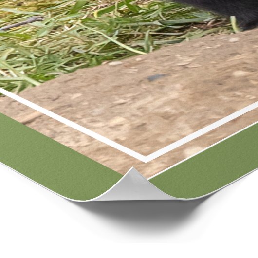 Mijn broer/zuster Mijn vriend Poster (Hoek)