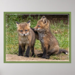 Mijn broer/zuster Mijn vriend Poster