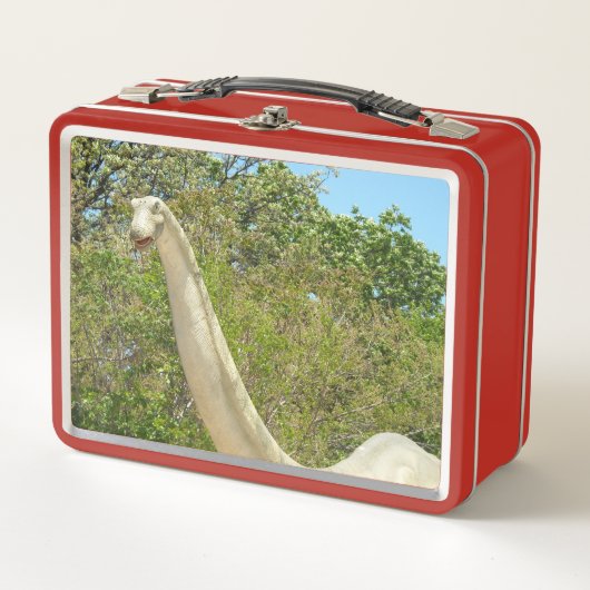Mijn Brontosaurus Dinosaurus (Voorkant)