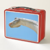 Mijn Brontosaurus Dinosaurus (Achterkant)