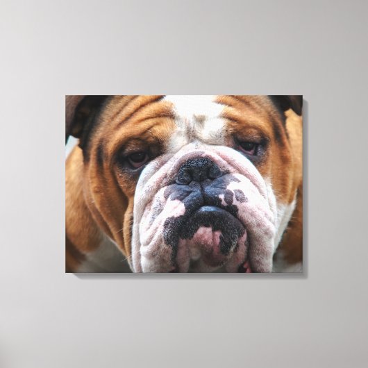Mijn brutale hond is Gezegde Bulldog!!! Canvas Afdruk (Voorkant)