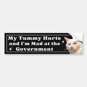 Mijn buik doet pijn en ik ben boos op de overheid bumpersticker