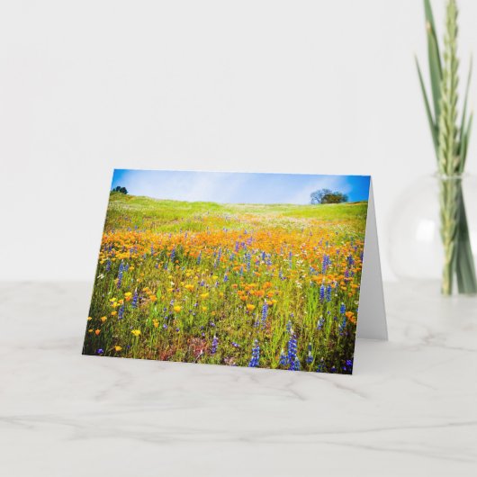 Mijn Californië 1 Kaart (Voorkant)