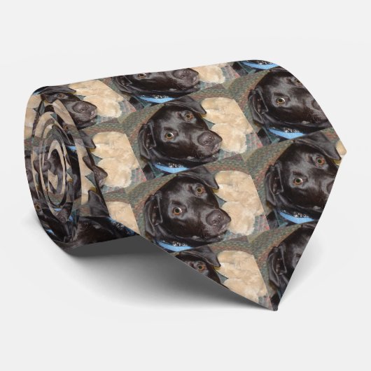 mijn camera 2007 049, mijn camera 2007 049, mijn k stropdas (Opgerold)