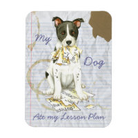 Mijn Canaan Dog Ate Mijn Lesson Plan