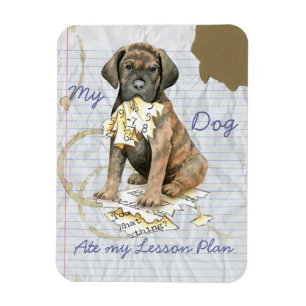 Mijn Cane Corso Ate Mijn Lesson Plan Magneet