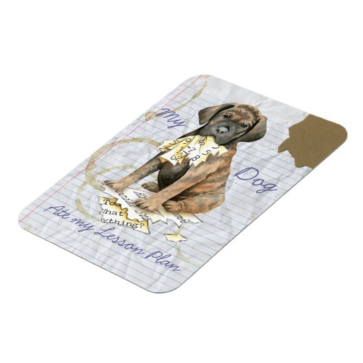 Mijn Cane Corso Ate Mijn Lesson Plan Magneet (Linkerzijde)