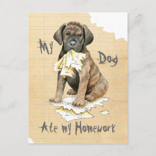 Mijn Cane Corso Ate Mijn thuiswerk Briefkaart