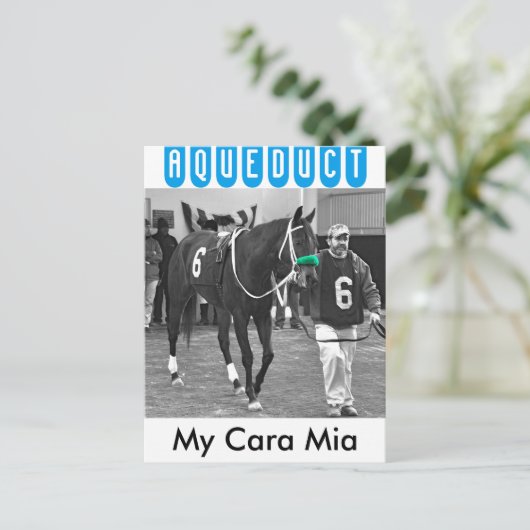 Mijn Cara Mia Briefkaart (Staand voorkant)