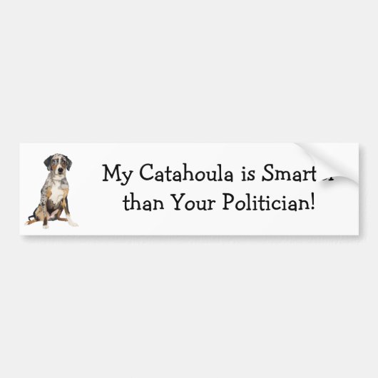 Mijn Catahoula is slimmer dan uw politicus Bumpersticker (Voorkant)