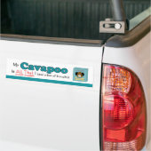 Mijn Cavapoo is alles. Bumpersticker (Op Truck)