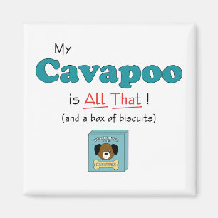 Mijn Cavapoo is alles. Magneet
