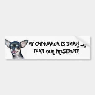 Mijn Chihuahua is slimmere bumper sticker