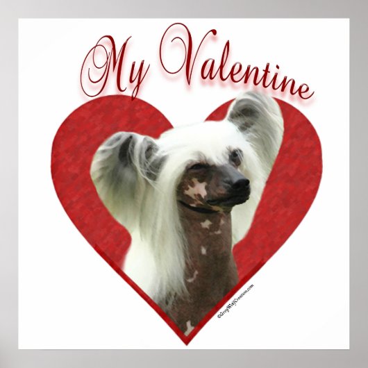 Mijn Chinees kuifje Valentijn Poster (Voorkant)