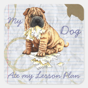 Mijn Chinees Shar-Pei heeft mijn lesplan Vierkante Sticker