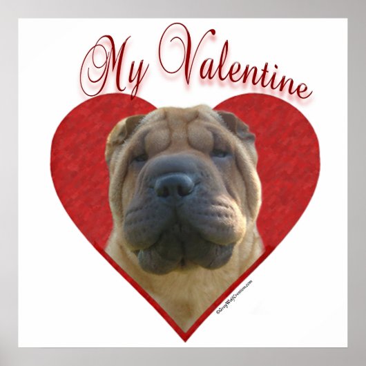 Mijn Chinese Shar-Pei Valentijn Poster (Voorkant)