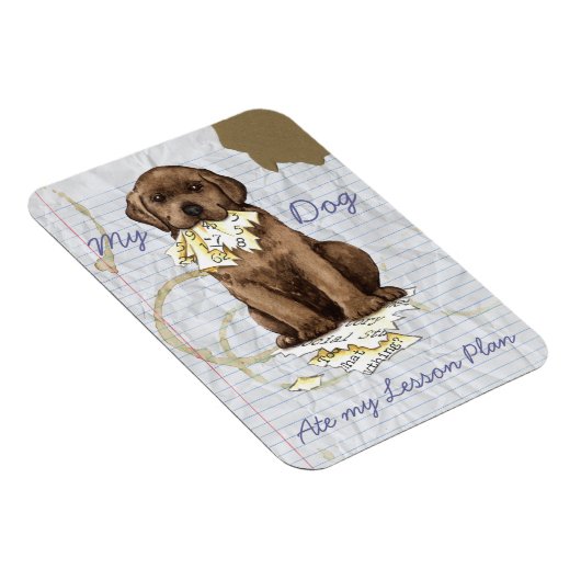 Mijn Chocolade Lab en mijn lesplan Magneet (Rechterzijde)