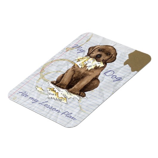 Mijn Chocolade Lab en mijn lesplan Magneet (Linkerzijde)