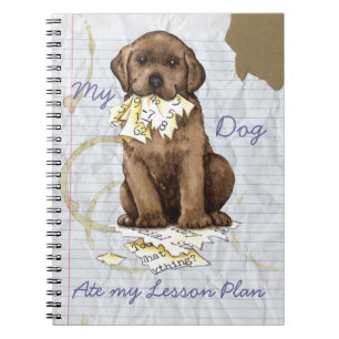 Mijn Chocolade Lab en mijn lesplan Notitieboek