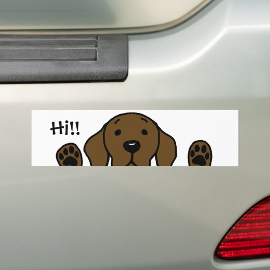 Mijn Chocolade Lab "Hoi!" Bumpersticker (Op auto)