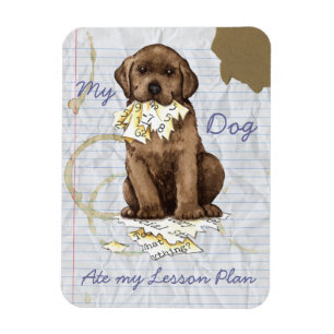 Mijn Chocolade Lab over mijn lesplan Magneet
