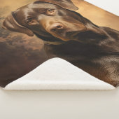 Mijn chocolade labrador denkt dat ik de beste papa sherpa deken (3/4)