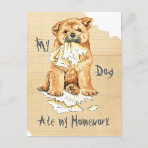 Mijn Chow Chow Ate Mijn Homework Briefkaart