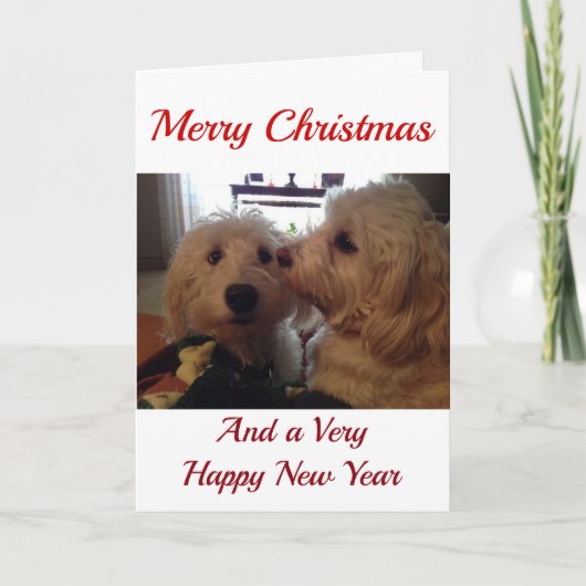 MIJN **CHRISTMAS PUPS** BESTE CHRISTMAS OOIT FEESTDAGEN KAART (Voorkant)