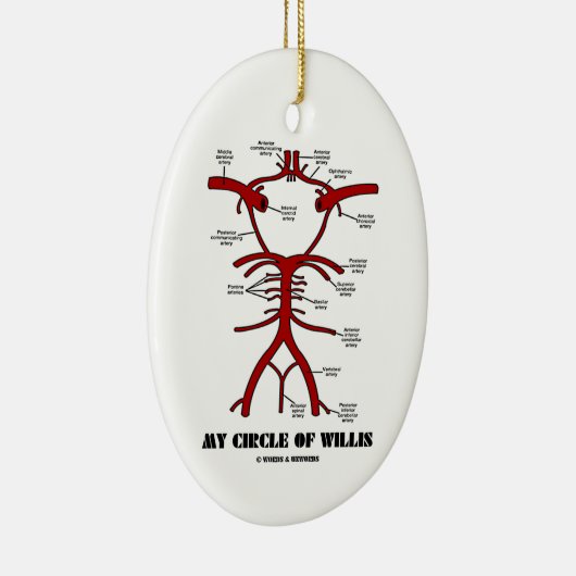 Mijn cirkel van Willis (anatomisch) Keramisch Ornament (Rechts)