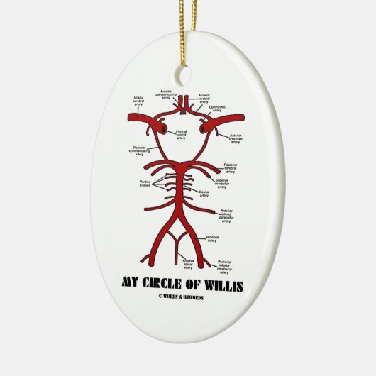 Mijn cirkel van Willis (anatomisch) Keramisch Ornament (Links)