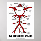 Mijn cirkel van Willis (anatomische arteriën) Poster (Voorkant)