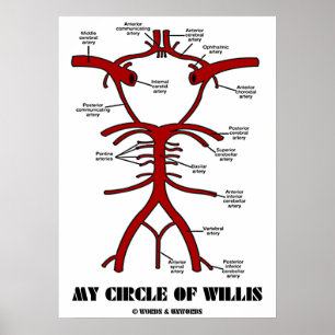 Mijn cirkel van Willis (anatomische arteriën) Poster