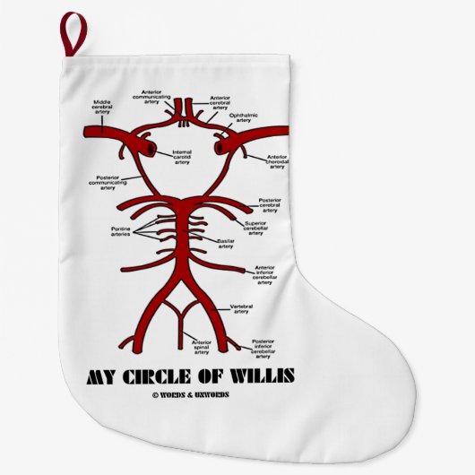 Mijn cirkel van Willis-anatomische bloedcirculatie Grote Kerstsok (Voorkant)