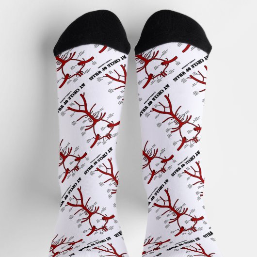 Mijn cirkel van Willis-anatomische bloedcirculatie Sokken (Top)