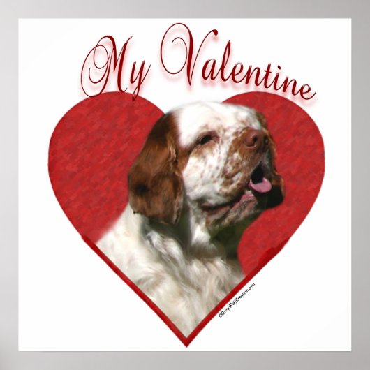 Mijn Clumber Spaniel Valentijn Poster (Voorkant)