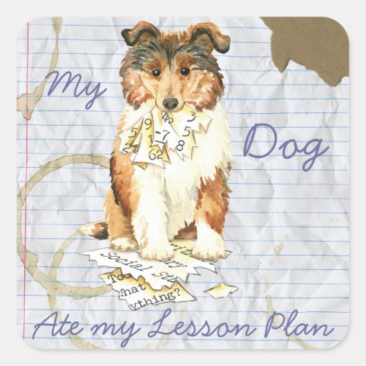 Mijn Collie Ate Mijn Lesson Plan Vierkante Sticker (Voorkant)