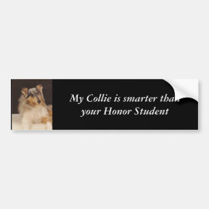 Mijn Collie is slimmer dan je Hon... Bumpersticker