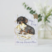 Mijn Dachshund Ate Mijn Lesson Plan Briefkaart (Staand voorkant)