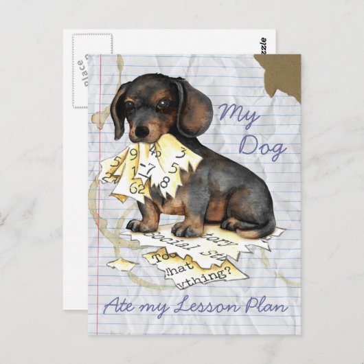 Mijn Dachshund Ate Mijn Lesson Plan Briefkaart (Voorkant / Achterkant)