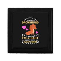Mijn Dachshund is mijn Baby
