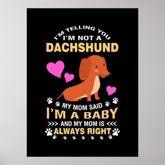 Mijn Dachshund is mijn Baby Poster (Voorkant)
