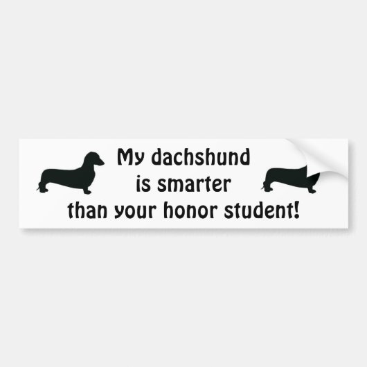 Mijn Dachshund is slimmer dan je eerling student Bumpersticker (Voorkant)