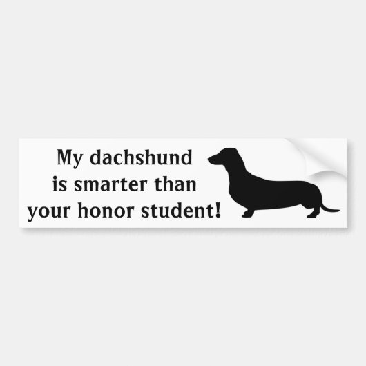Mijn Dachshund is slimmer dan je eerling student Bumpersticker (Voorkant)
