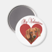Mijn Dachshund Valentijn Magneet (Voorkant / Achterkant)