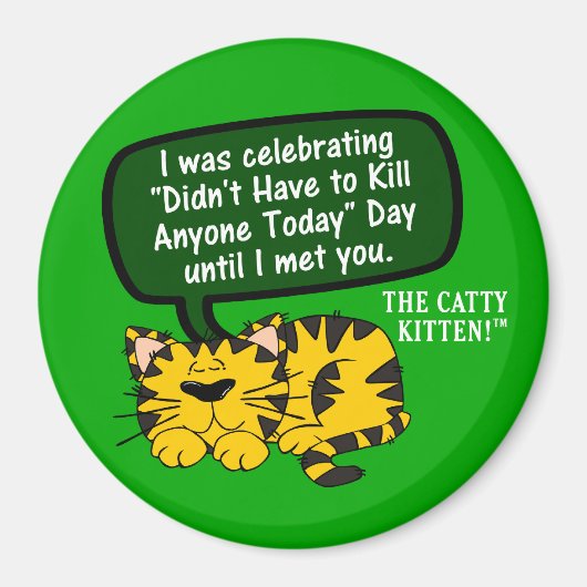 Mijn dag ging geweldig tot ik je zag magneet (Voorkant)