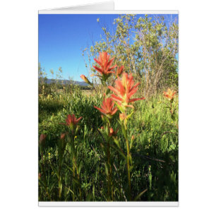 Mijn Devils Paintborstel