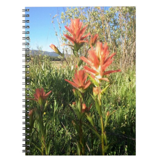 Mijn Devils Paintborstel Notitieboek (Voorkant)